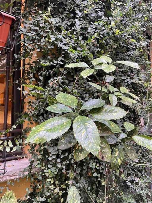 Loft Di Design Nel Cuore Di Milano Экстерьер фото